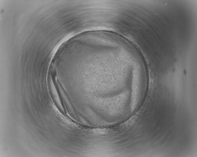 X0000051891181200507151931