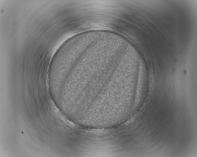 X0000051891182200507151931