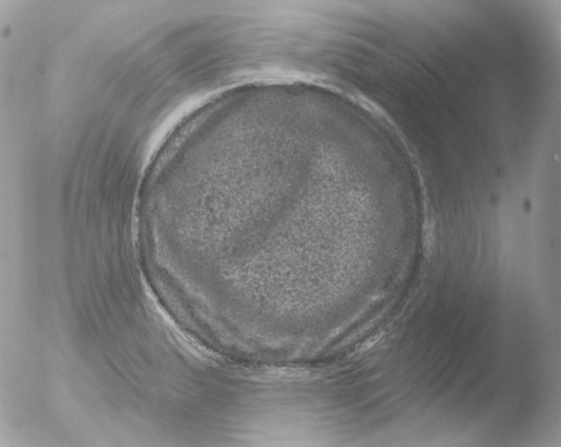 X0000051891183200507151931