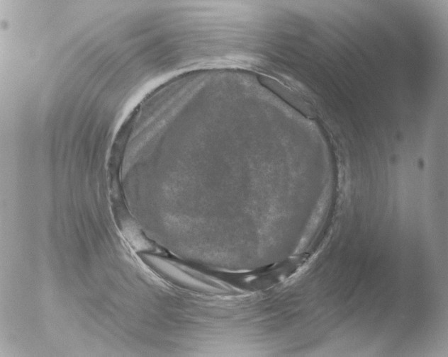 X0000051891184200507151930