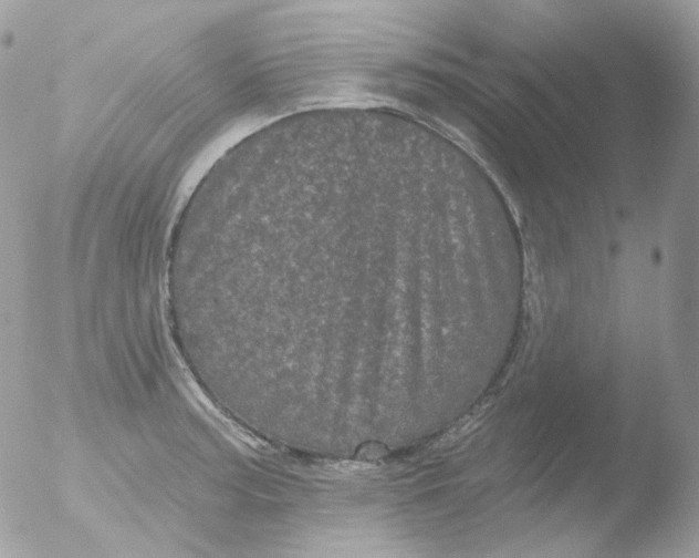 X0000051891187200507151930