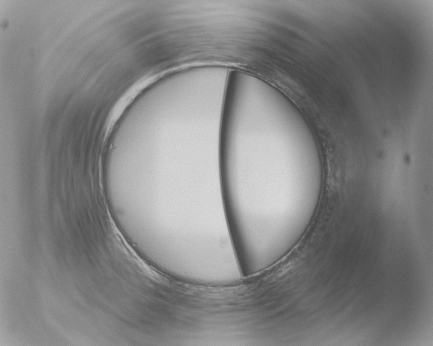 X0000051891188200507151930