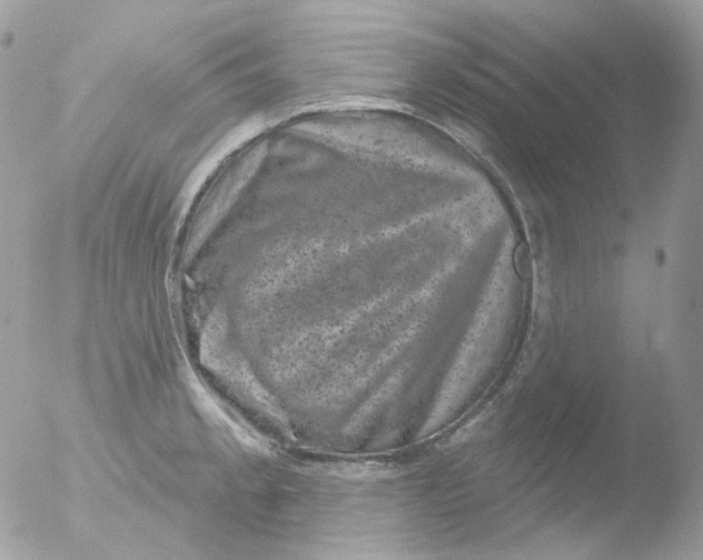 X0000051891189200507151930