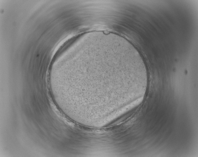 X0000051891190200507151930