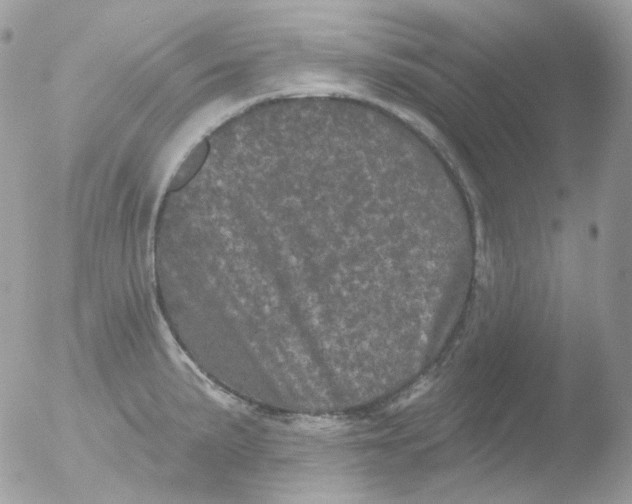 X0000051891191200507151930