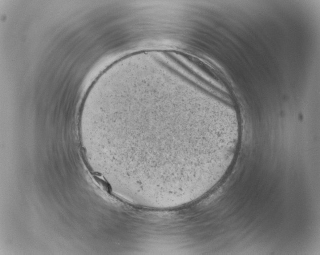 X0000051891192200507151930