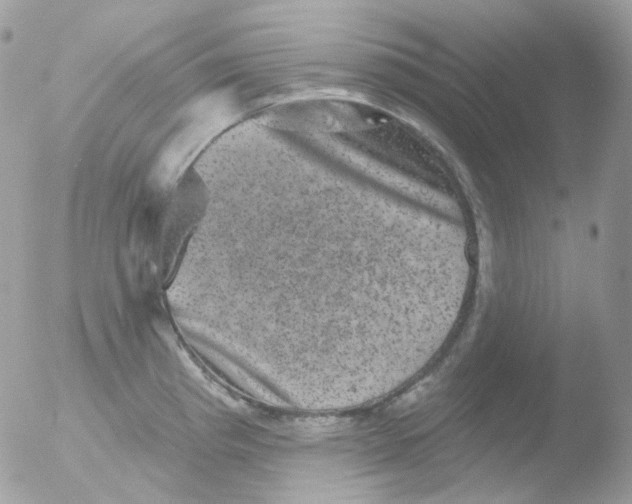 X0000051891193200507151930