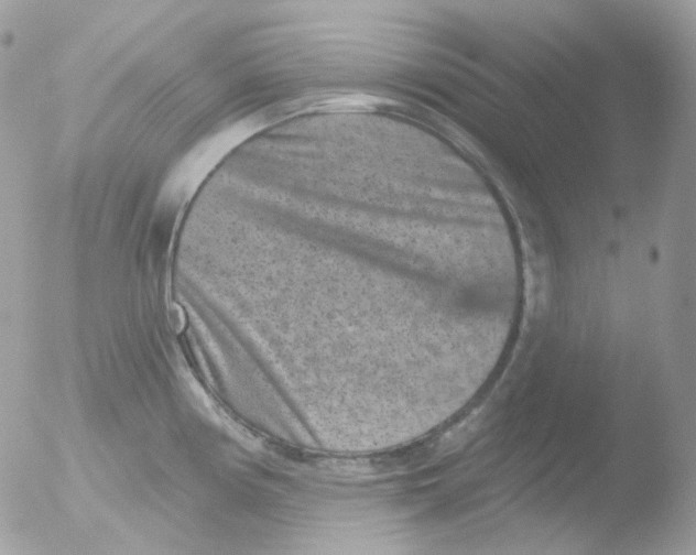 X0000051891194200507151930