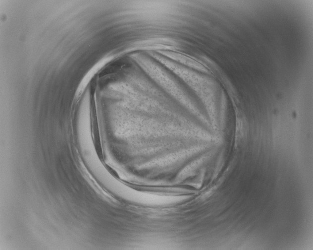 X0000051891196200507151930