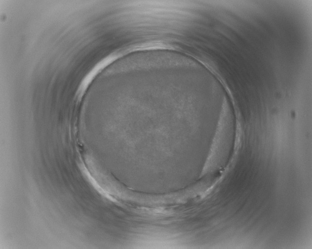 X0000051891197200507151930