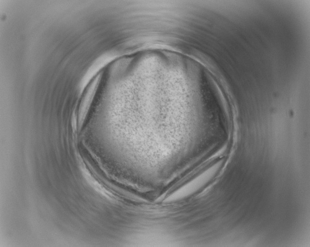 X0000051891198200507151930