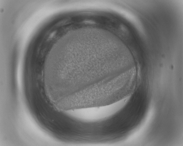 X0000051891199200507151930