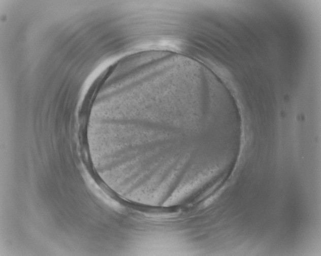 X0000051891200200507151930