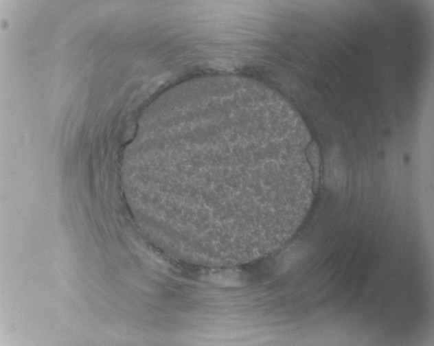 X0000051891201200507151929