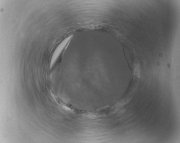 X0000051891202200507151929