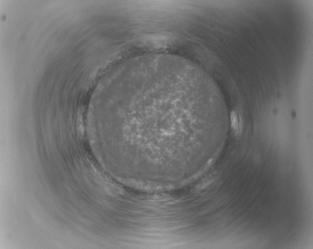 X0000051891203200507151929