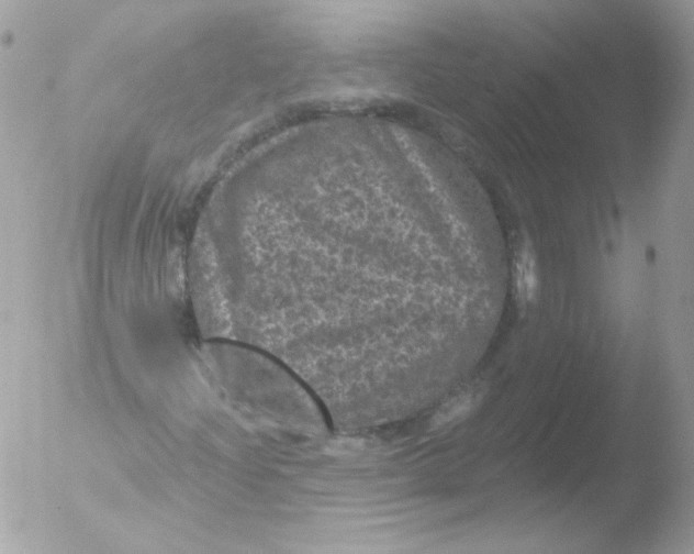 X0000051891204200507151929