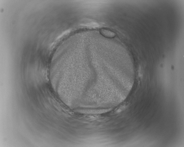 X0000051891205200507151929