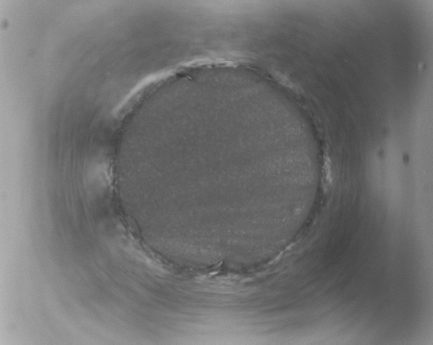 X0000051891206200507151929