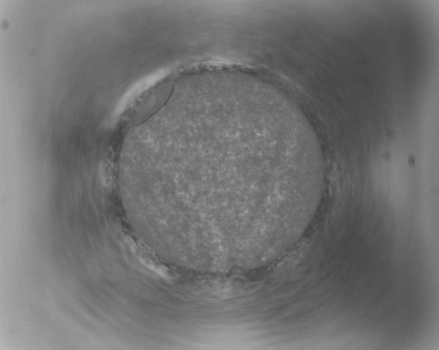 X0000051891207200507151930