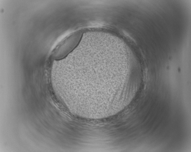 X0000051891208200507151930