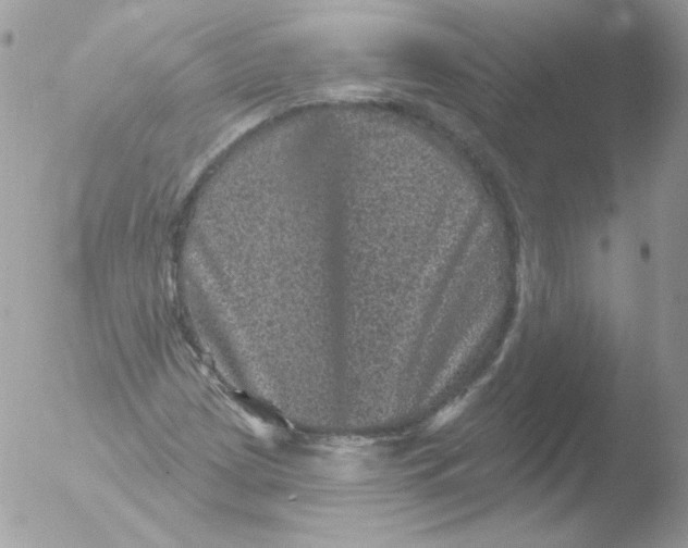 X0000051891209200507151930