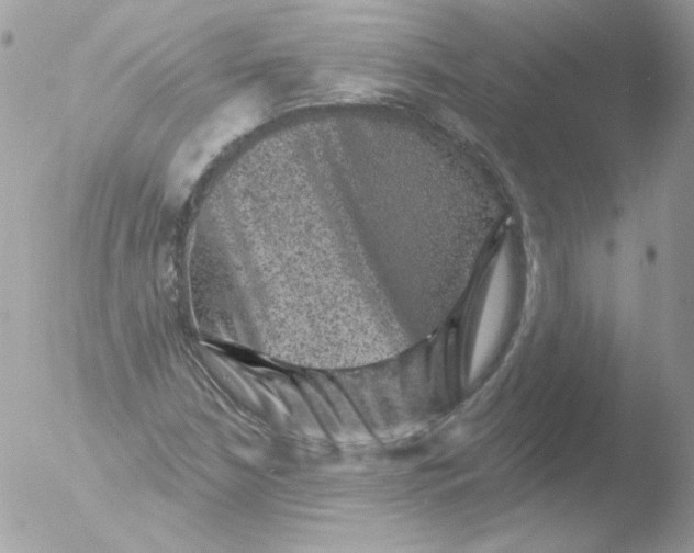 X0000051891210200507151930