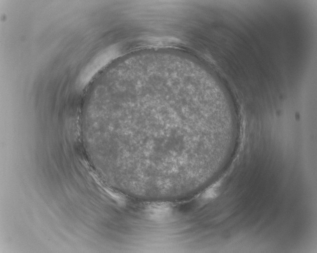 X0000051891211200507151930