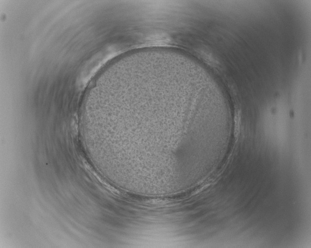 X0000051891212200507151930