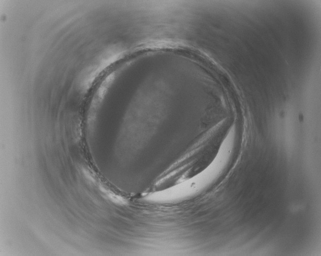 X0000051891213200507151930