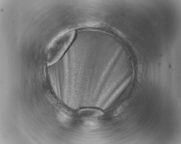 X0000051891214200507151930