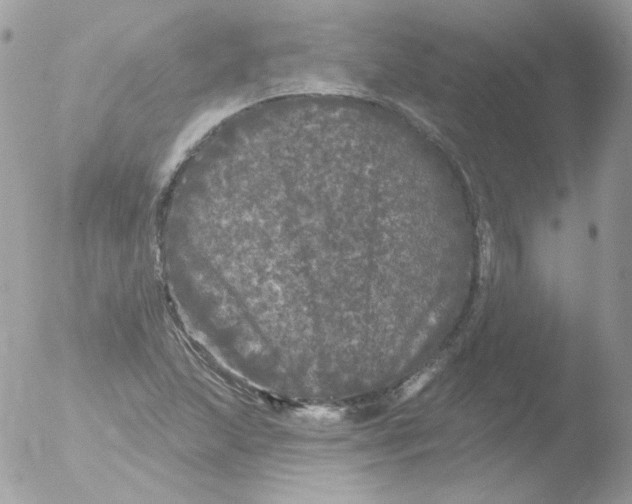 X0000051891215200507151930