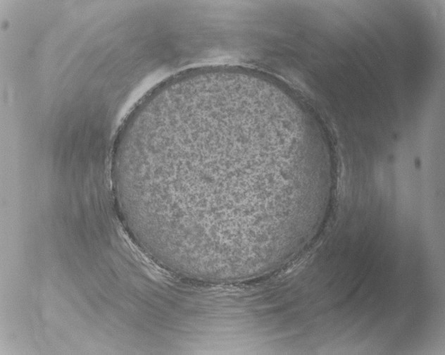 X0000051891216200507151930