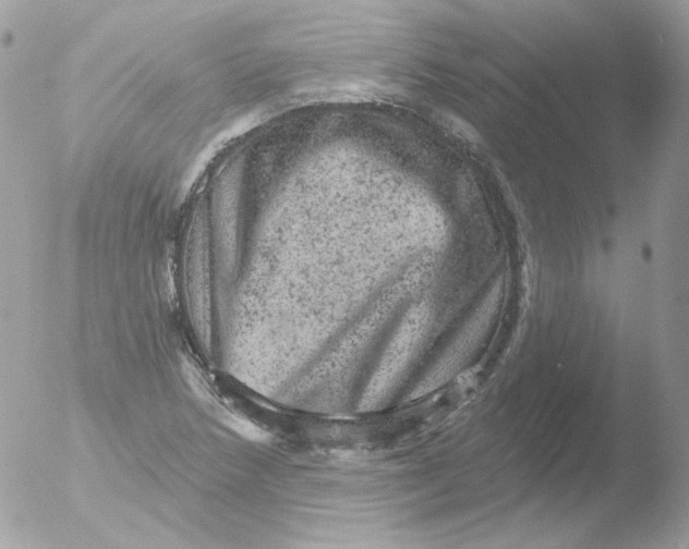 X0000051891218200507151930