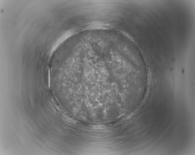 X0000051891219200507151930