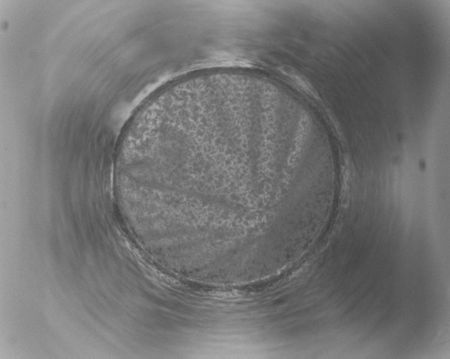 X0000051891220200507151930