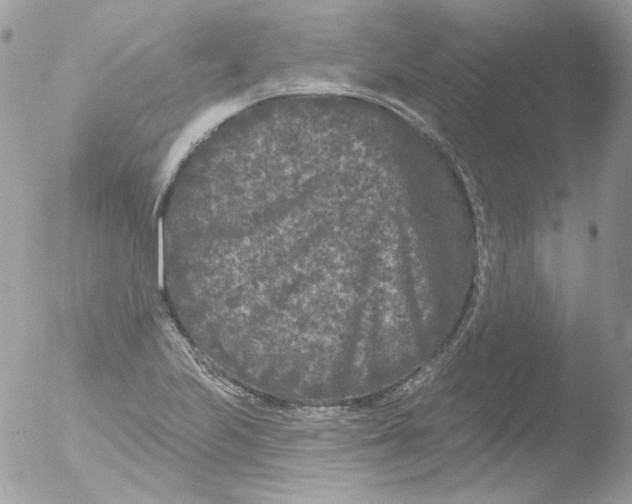 X0000051891223200507151930