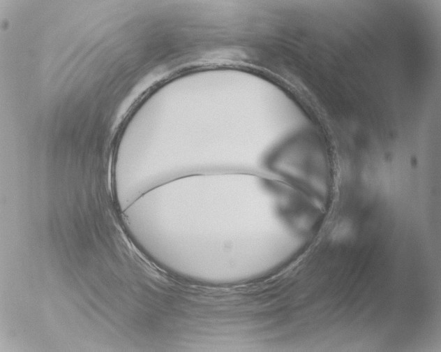 X0000051891224200507151930