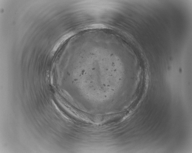 X0000051891225200507151930