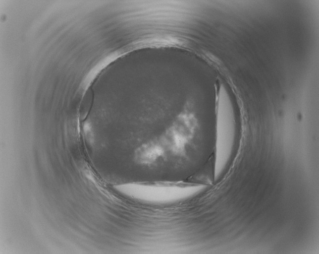 X0000051891226200507151930