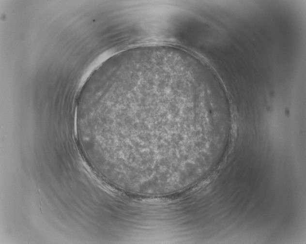 X0000051891227200507151930