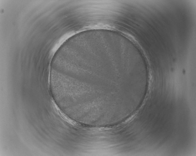 X0000051891228200507151930