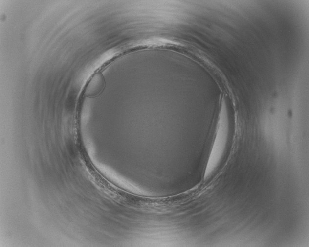 X0000051891229200507151930