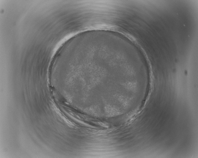 X0000051891230200507151930