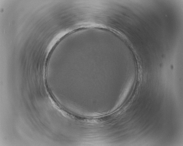 X0000051891231200507151930