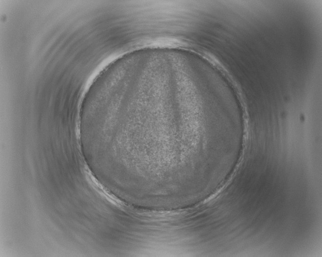 X0000051891232200507151930