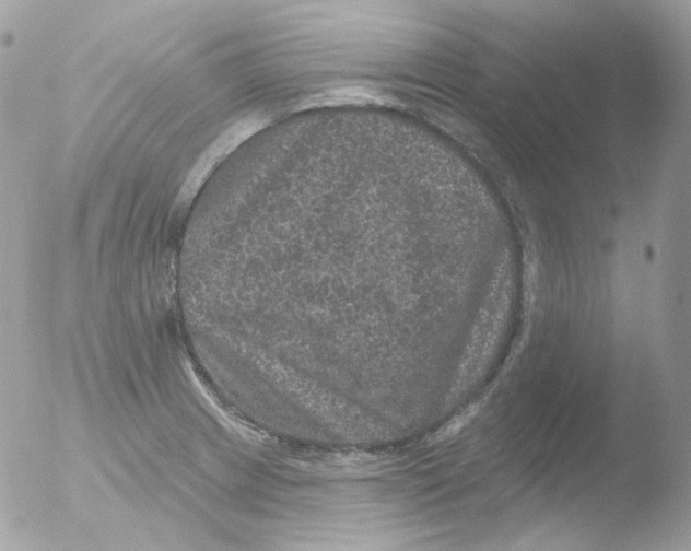 X0000051891233200507151930