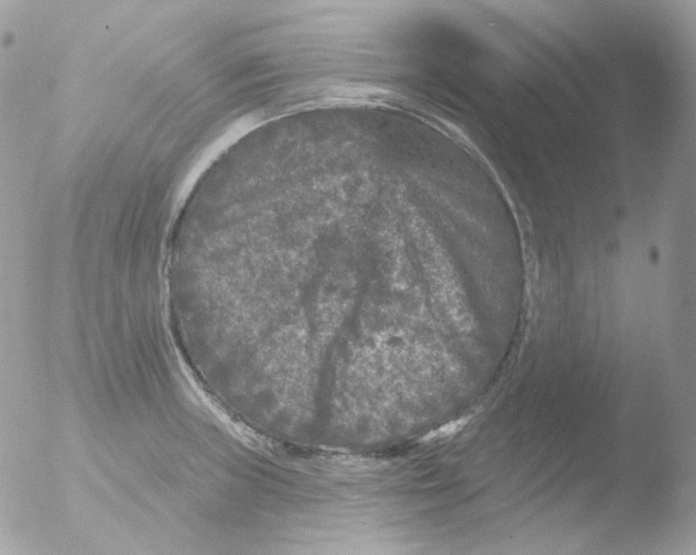 X0000051891235200507151930