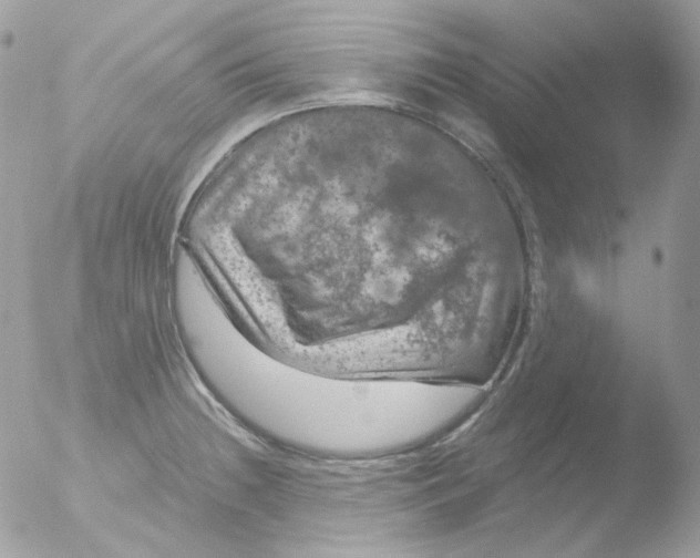 X0000051891236200507151930