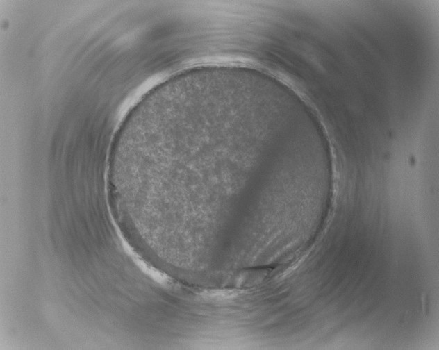 X0000051891237200507151930